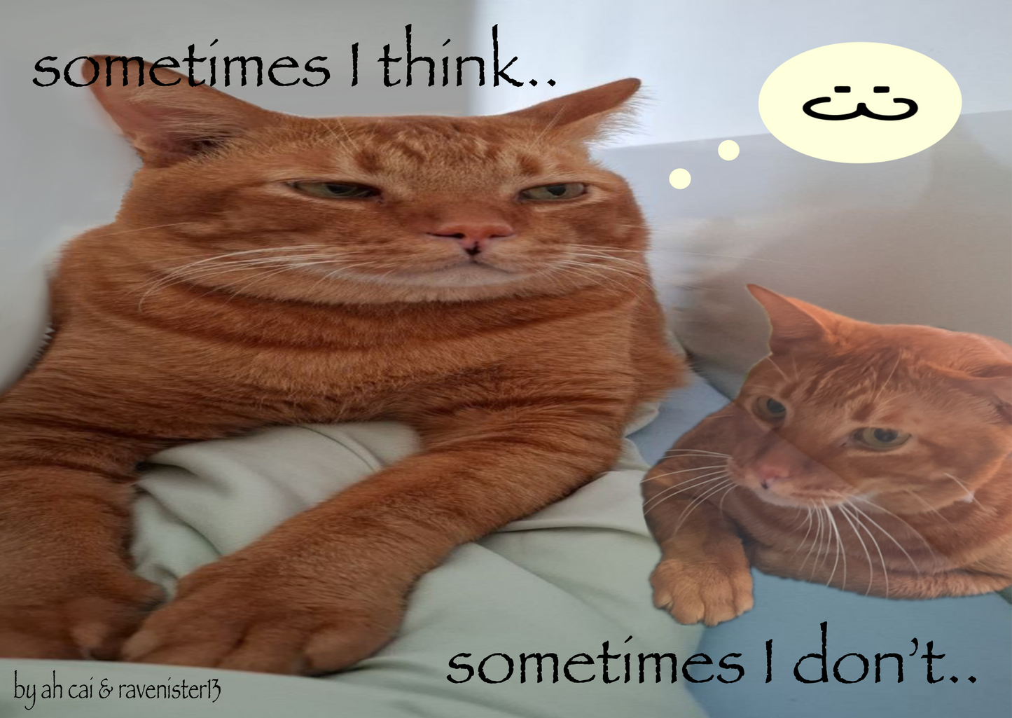 assorted prints - A6